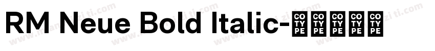 RM Neue Bold Italic字体转换